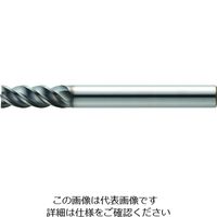 MOLDINO SUSフィニッシュEPSF4110ーPN EPSF4110-PN 1本 199-6047（直送品）