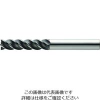 MOLDINO SUSフィニッシュEPSFM4100ーPN EPSFM4100-PN 1本 199-6062（直送品）