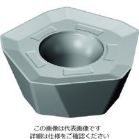 サンドビック（SANDVIK） サンドビック コロミル419 チップ 419