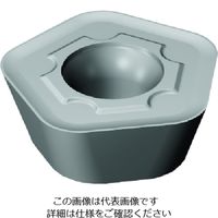 サンドビック SANDVIK コロミル419 フライス加工用チップ(350) 1130 419N-140530E-SM 1セット(10個)（直送品）