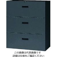 ナイキ 収納庫 CWS型 ファイル引出し(3段) 下置き用 899×400×450 ブラック CWS-0911S-3-BB 1台（直送品）