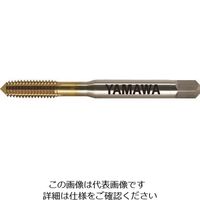 彌満和製作所 ヤマワ コーティングロールタップ R+V G6 M2.5X0.45 B R+V-G6-M2.5X0.45-B 184-6638（直送品）