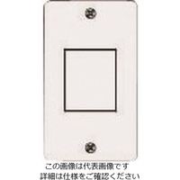 パナソニック Panasonic フルカラー新金属角型コンセントプレート WN7521 1セット(10台) 144-5228（直送品）