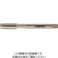 イシハシ精工 IS パック入 ハンド中タップ 1/2W12 (1本入) P-S-HT-1