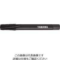 LS-INT-PT-200-1-11（直送品）