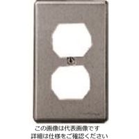 パナソニック Panasonic 新金属埋込ダブルコンセントプレート WF9531 1セット(10台) 144-8330（直送品）