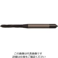 イシハシ精工 ISF ジェットタップ NO.5NF44 JET-NO.5NF44 1本 147-6669（直送品）
