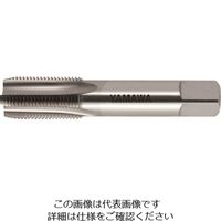 彌満和製作所 ヤマワ 管用平行ねじ用超硬ハンドタップ CTーPS 1/4ー19 CT-PS-1/4-19 1本 184-8151（直送品）