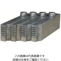 育良精機 育良 マイコン替刃(11002) PF42X54 1組 805-2761（直送品）