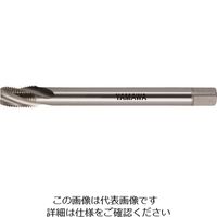 LS-SP-S-NPT-150-1/4-18（直送品）