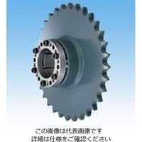 椿本チエイン ステンレス大形コンベヤチェーン（SS仕様） RF205-SS-K1-PL 1個（直送品）