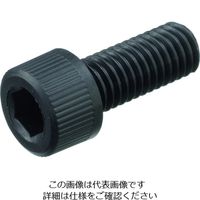 ケミカルスクリュー ガラス繊維強化ポリアミドMXD6 RENY黒 六角穴付ボルト M4ー20 (500本入) RENY-BK/CB（直送品）