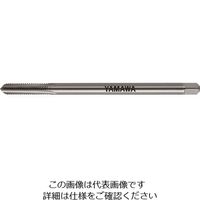 LS-N-CT-P3-100-M3X0.5-1.5P（直送品）