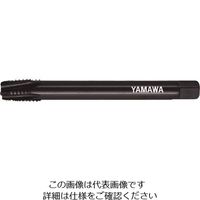 LS-INT-S-PT-150-1/8-28（直送品）