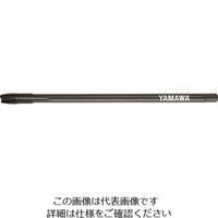LS-SU-S-PO-P2-100-M6X1（直送品）