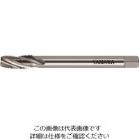 LS-SP-PT-100-1/4-19（直送品）