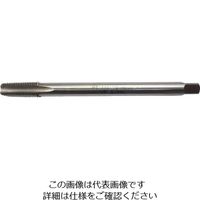 イシハシ精工 ISF SKH ロングガスタップ L=100 1/4PF IS-H-L100-1/4PF 1本 503-5601（直送品）