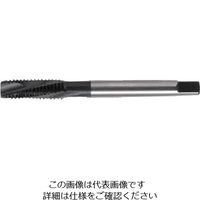 イシハシ精工 ISF ジェットタップ NO.12NC24 JET-NO.12NC24 1本 505-7868（直送品）