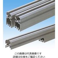 椿本チエイン バイソクチェーン RF2030VRP