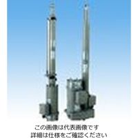 椿本チエイン パワーシリンダ Gシリーズ LPGB100HK4 1個（直送品）