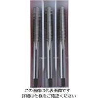 イシハシ精工 ISF SKSハンドタップ メートルねじ・並目 【3本組】 M14X2.0 IS-S-HT-M14X2.0-S 1組（直送品）