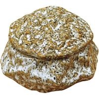 ヤマコー 岩石薬味入れ フタ付き ゆず白 79407 1個（直送品）