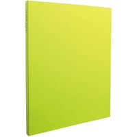 セキセイ クリアーファイル　高透明　黒台紙　A4S　タテ入れ　20ポケット　ライトグリーン KP-2512-33 1セット（2冊）