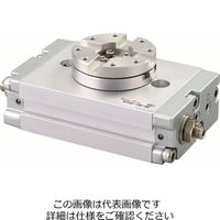 ニューエラー ミニローター RT02ー22Bー90ーZC253B2 1個（直送品）