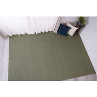 スミノエ オーダーカーペット オーダーラグ ポルコ 2300×1550mm グリーン AS-PL-GN230155 1枚（直送品）