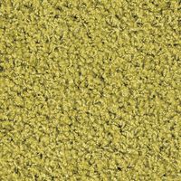 プレーベル ジャスパーPLUS 抗菌・抗ウイルス・抗アレルゲン カーペット ラグ 正方形 2000×2000mm リーフ 1枚（直送品）