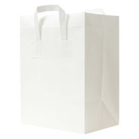 パックタケヤマ フォールドバッグ2212白無地 XZV69993 1ケース（50枚入ｘ4袋)（直送品）