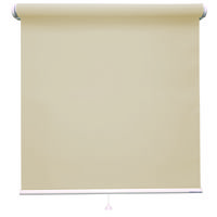 立川機工 ロールスクリーン 北欧風 TR-1073 160×30cm ストロー 1台（直送品）