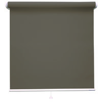 立川機工 ロールスクリーン 北欧風 TR-1075 115×30cm ブランチ 1台（直送品）