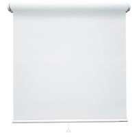 立川機工 ロールスクリーン レース TR-1591 70×220cm ピュアホワイト 1台（直送品）