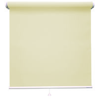 立川機工 ロールスクリーン レース TR-1592 45×170cm アイボリー 1台（直送品）