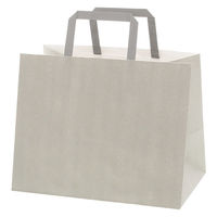 シモジマ 手提げ紙袋　フラットチャームバッグ　平手 280ー1 エコアッシュ 003277522 1袋（50枚入）