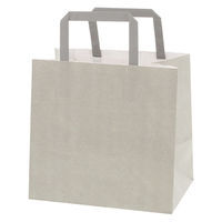 シモジマ 手提げ紙袋　フラットチャームバッグ　平手 220ー1 エコアッシュ 003277322 1袋（50枚入）