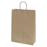 シモジマ 手提げ紙袋　25チャームバッグ ＳＴＤ（スタンダード） 未晒無地 003287100 1袋（50枚入）