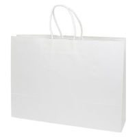シモジマ 手提げ紙袋　25チャームバッグ 55ー1 白無地 1セット（200枚：50枚入×4）