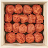 FUJI IB썂~ I̖~ 400g 1iij