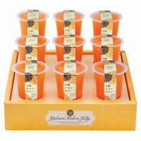 FUJI 夕張メロンゼリーエスト KW-9B 1箱（直送品）