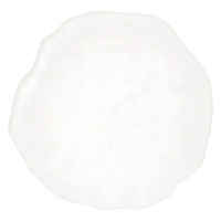 Bガラスプレート(SS) ホワイト LAKOLE/ラコレ