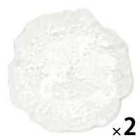 Bガラスプレート(S) クリア 1セット（1枚×2） LAKOLE/ラコレ