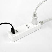 トップランド 延長コード 電源タップ 2m 2個口 USBーA充電ポート(2個口)付 抗菌加工 STPA20-WT 1個
