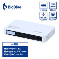 リンクスインターナショナル AC/USB出力対応大容量 リンクスインターナショナル AC/USB出力対応大容量モバイル