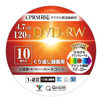 パナソニック 録画用DVD-RAM 3倍速 LM-AF120LH10 1パック（10枚