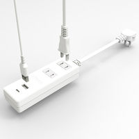 トップランド 延長コード 電源タップ 2m 2個口 USBーA+C充電ポート付 抗菌加工 STPAC20-WT 1個