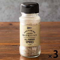 賛否両論 　笠原将弘　俺の万能スパイス 100ｇ 3個 風土食房