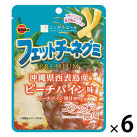 グミ 食べきりサイズ フェットチーネグミ PREMIUM ピーチパイン