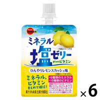 塩分補給 塩分対策 ゼリー ミネラル塩ゼリーplus ビタミンひんやりレモンスカッシュ味 150g 1セット(1個×6)